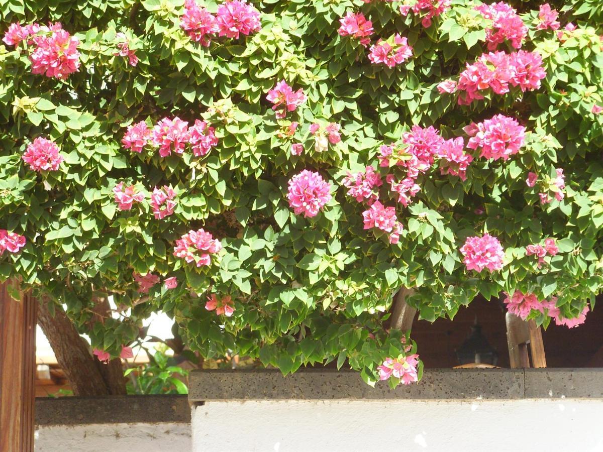 דירות Tías Casa La Tahonilla מראה חיצוני תמונה