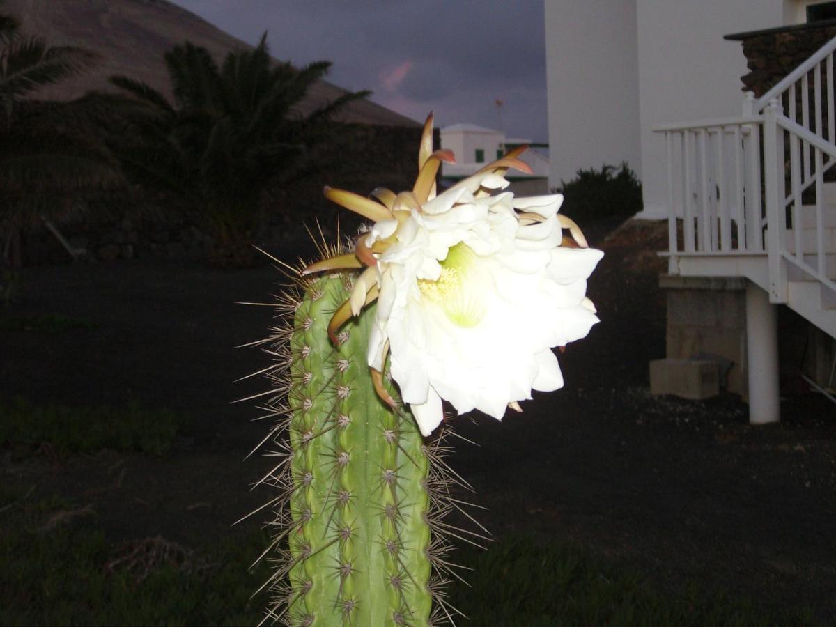 דירות Tías Casa La Tahonilla מראה חיצוני תמונה
